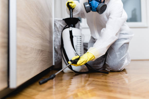 Best Flea Control Services  in Hamilton, MO