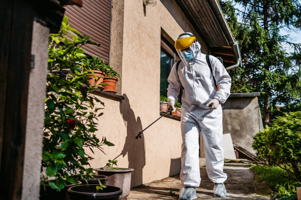 Professional Pest Control in Hamilton, MO