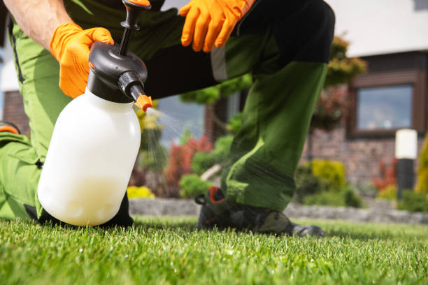 Best Termite Control Services  in Hamilton, MO