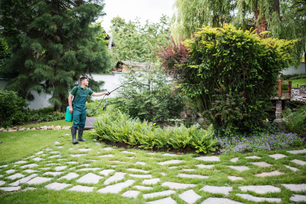 Best Best Pest Control Companies  in Hamilton, MO