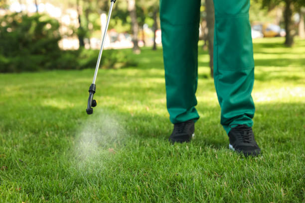Best Affordable Pest Control Services  in Hamilton, MO