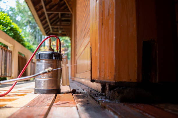 Best Pest Removal Services  in Hamilton, MO